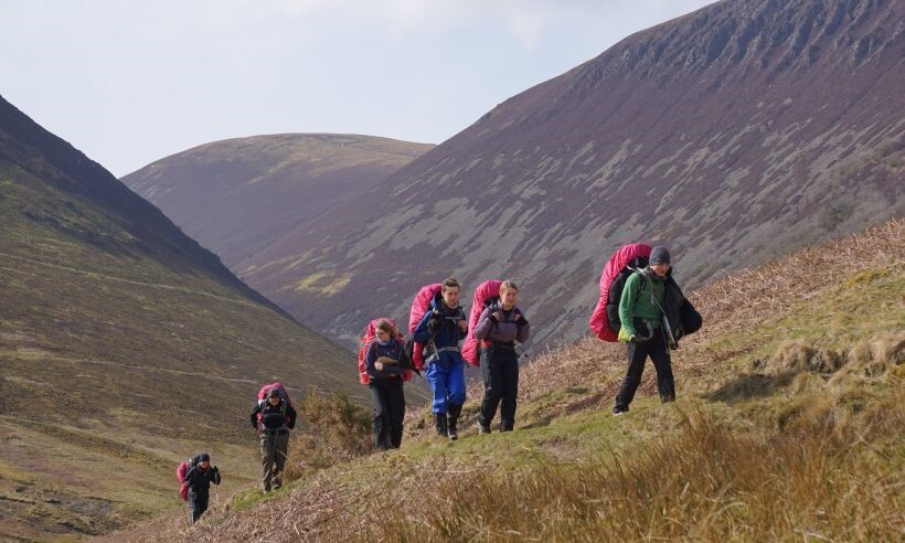 Gold dofe image for website from gsm
